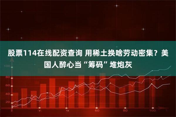 股票114在线配资查询 用稀土换啥劳动密集？美国人醉心当“筹码”堆炮灰